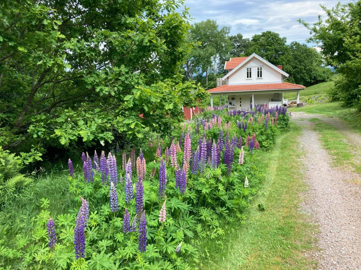 Villa Ny Flintarp à Laholm Extérieur photo